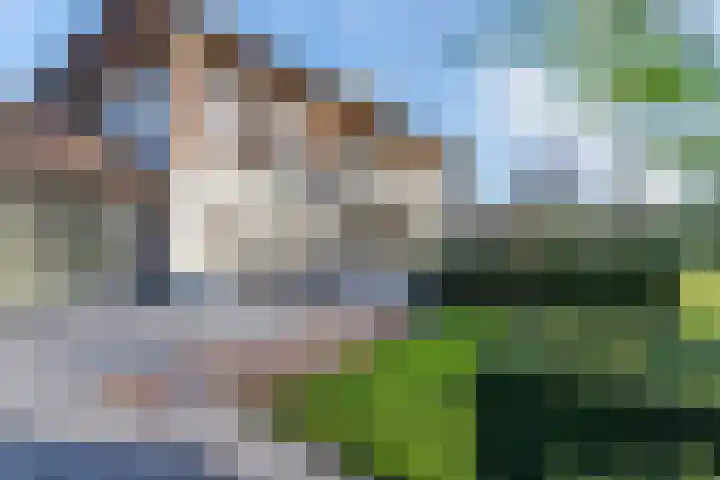 Laan van Napoleon 34 Winterswijk thumbnail 89
