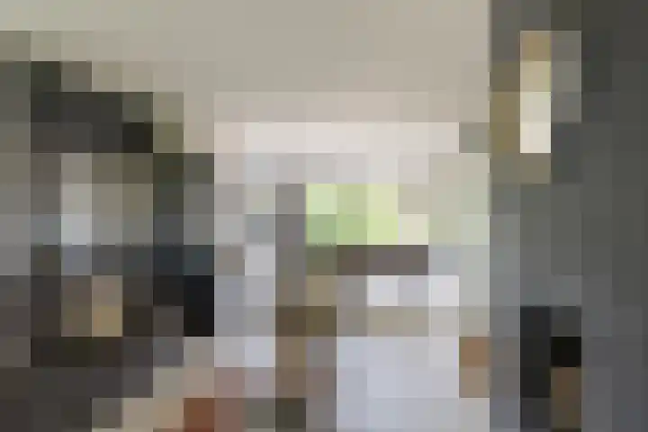 Laan van Nederhoven 12 Zwijndrecht thumbnail 10