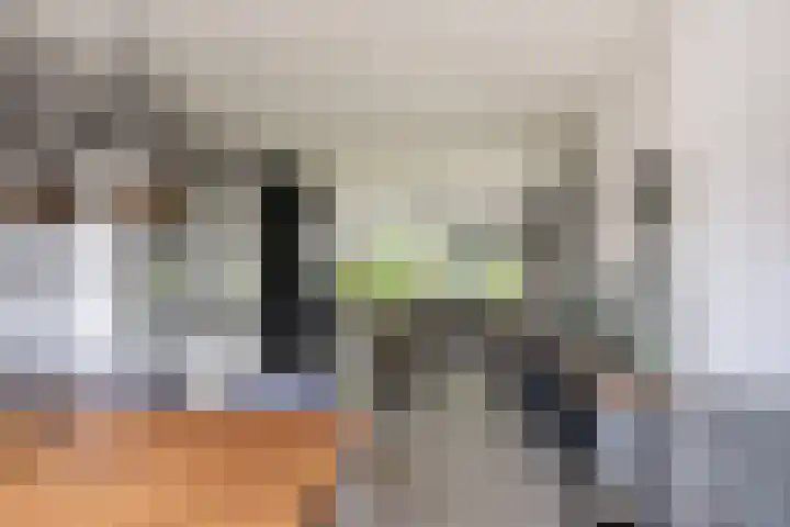 Laan van Nederhoven 12 Zwijndrecht thumbnail 11