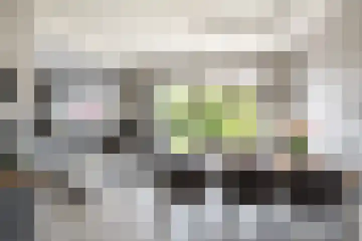 Laan van Nederhoven 12 Zwijndrecht thumbnail 12
