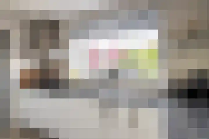 Laan van Nederhoven 12 Zwijndrecht thumbnail 14