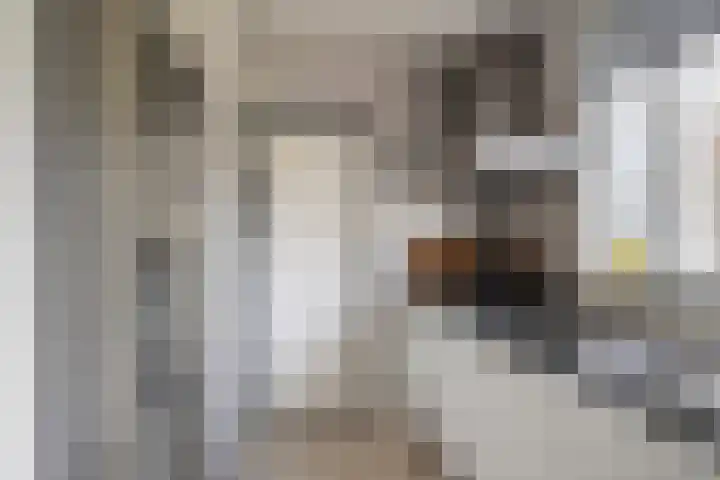 Laan van Nederhoven 12 Zwijndrecht thumbnail 15