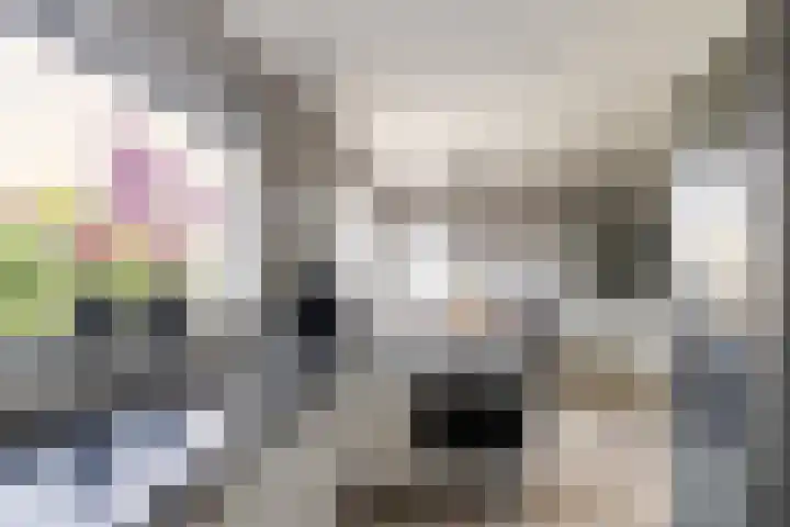 Laan van Nederhoven 12 Zwijndrecht thumbnail 16