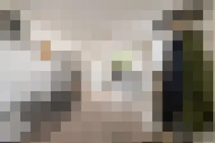 Laan van Nederhoven 12 Zwijndrecht thumbnail 17