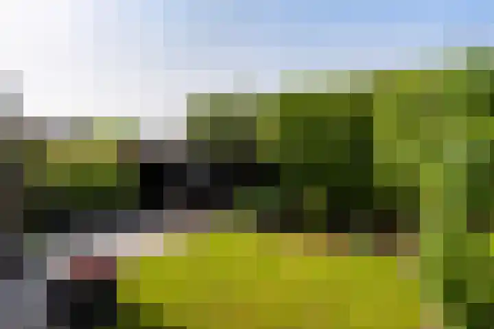 Laan van Nederhoven 12 Zwijndrecht thumbnail 20