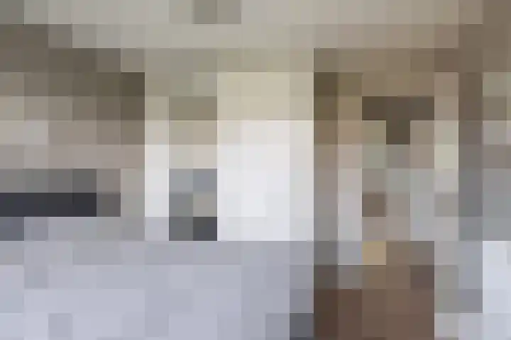 Laan van Nederhoven 12 Zwijndrecht thumbnail 25