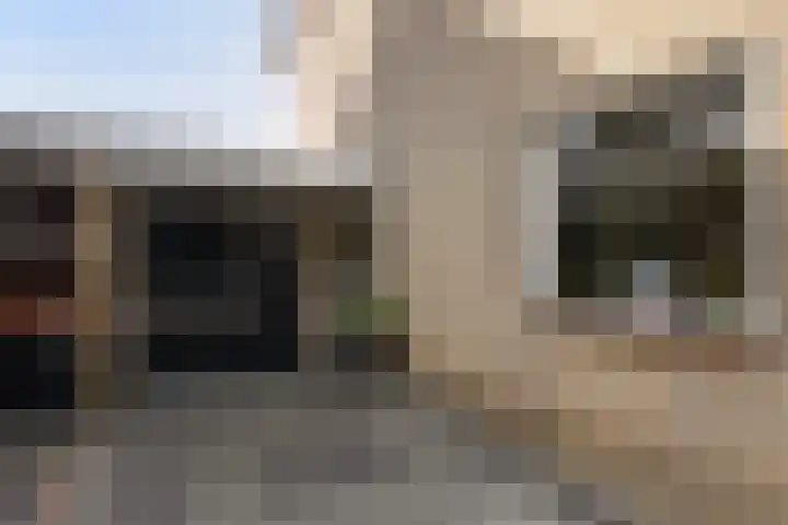 Laan van Nederhoven 12 Zwijndrecht thumbnail 4