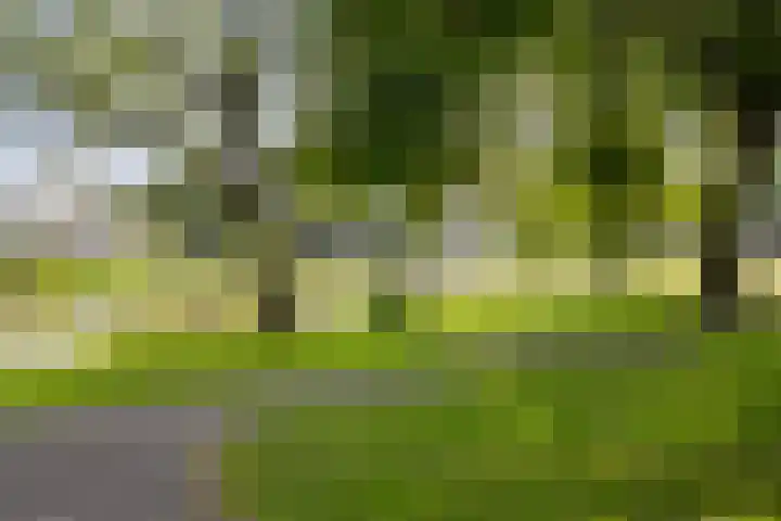 Laan van Nederhoven 12 Zwijndrecht thumbnail 43