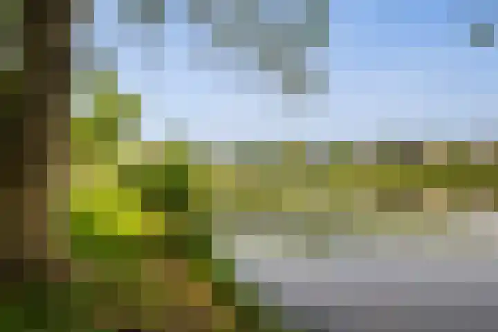 Laan van Nederhoven 12 Zwijndrecht thumbnail 44