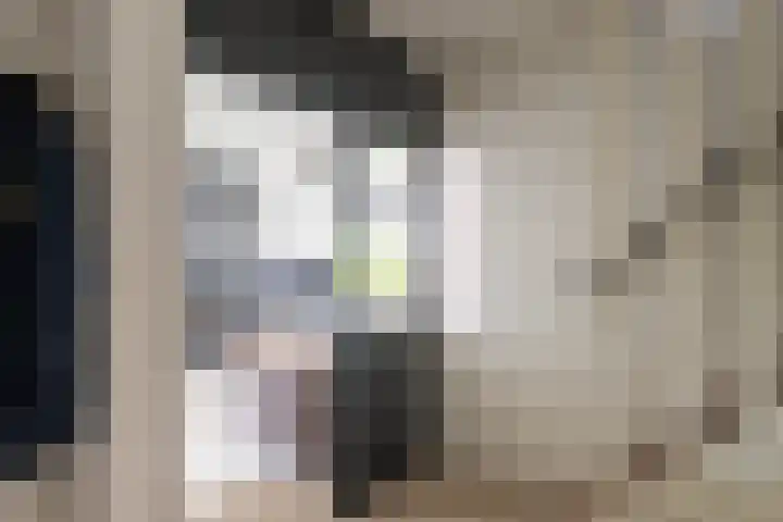 Laan van Nederhoven 12 Zwijndrecht thumbnail 6