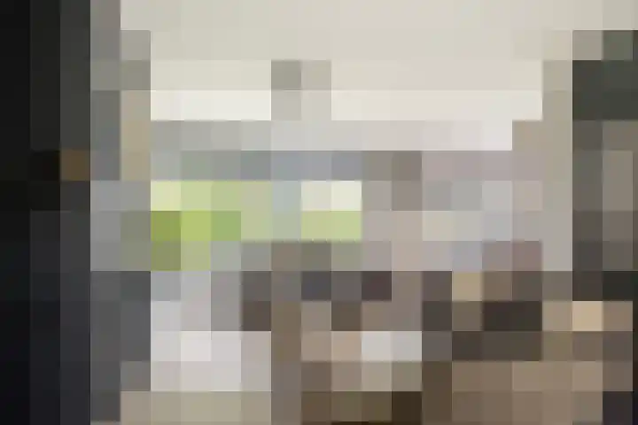 Laan van Nederhoven 12 Zwijndrecht thumbnail 7