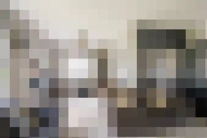 Laan van Nederhoven 12 Zwijndrecht thumbnail 8