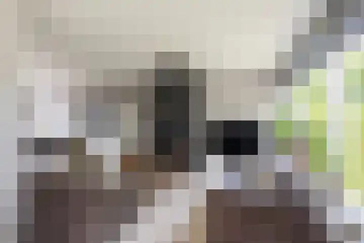 Laan van Nederhoven 12 Zwijndrecht thumbnail 9