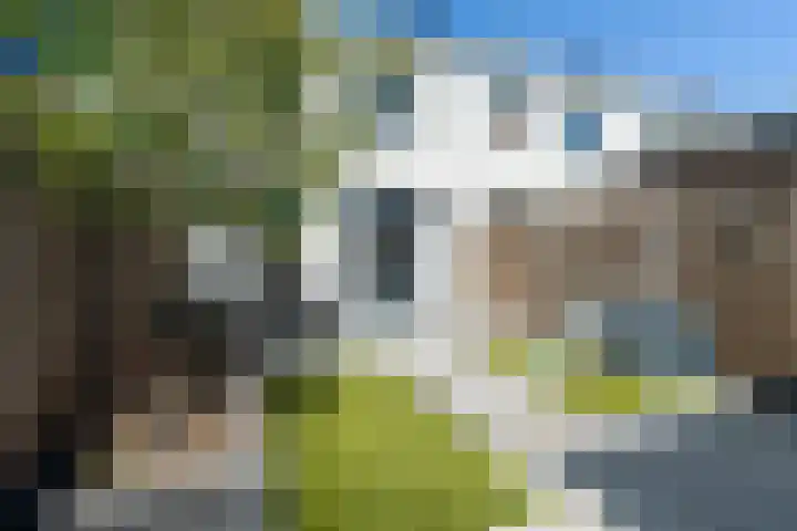 Laan van Nederhoven 2 E Zwijndrecht thumbnail 40