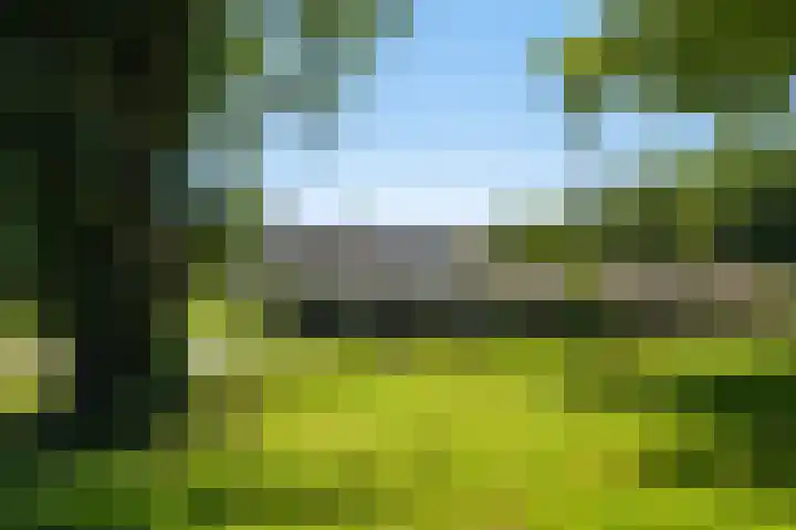 Laan van Nederhoven 2 E Zwijndrecht thumbnail 47