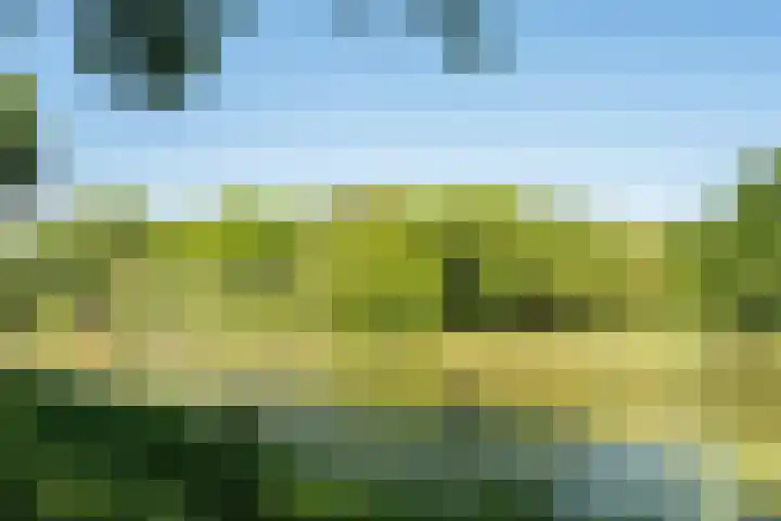 Laan van Nederhoven 2 E Zwijndrecht thumbnail 48