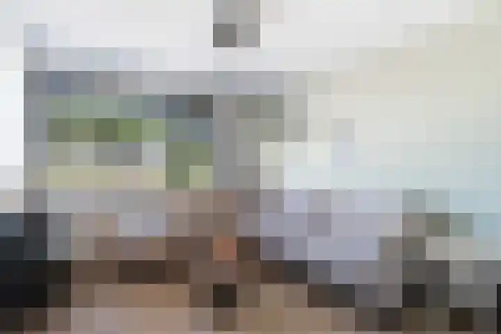 Laan van Nederhoven 2 E Zwijndrecht thumbnail 8