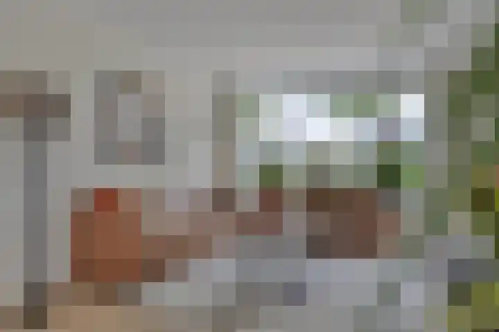 Laan van Nederhoven 20 Zwijndrecht thumbnail 10