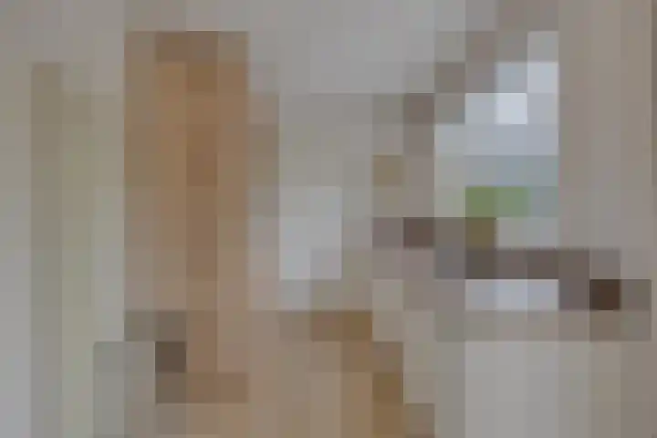 Laan van Nederhoven 20 Zwijndrecht thumbnail 11