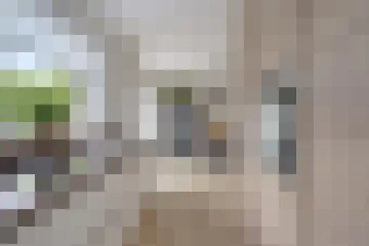 Laan van Nederhoven 20 Zwijndrecht thumbnail 12