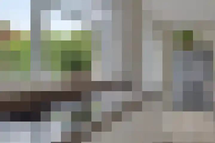 Laan van Nederhoven 20 Zwijndrecht thumbnail 13