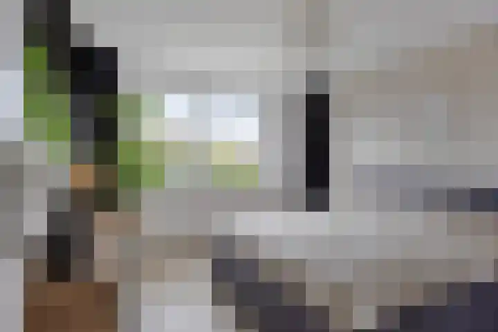 Laan van Nederhoven 20 Zwijndrecht thumbnail 16