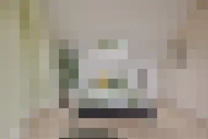 Laan van Nederhoven 20 Zwijndrecht thumbnail 23