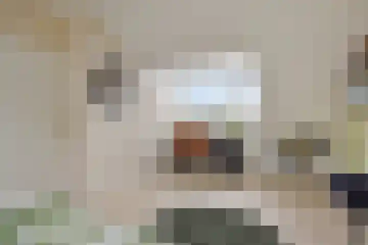 Laan van Nederhoven 20 Zwijndrecht thumbnail 24