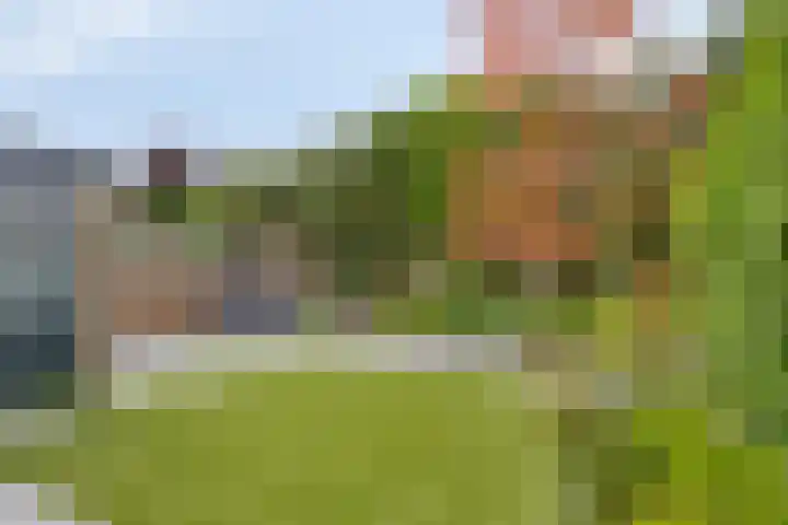 Laan van Nederhoven 20 Zwijndrecht thumbnail 27