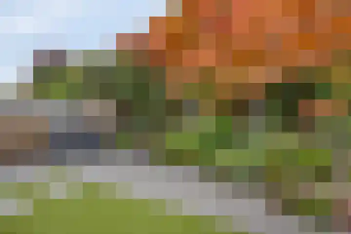 Laan van Nederhoven 20 Zwijndrecht thumbnail 31