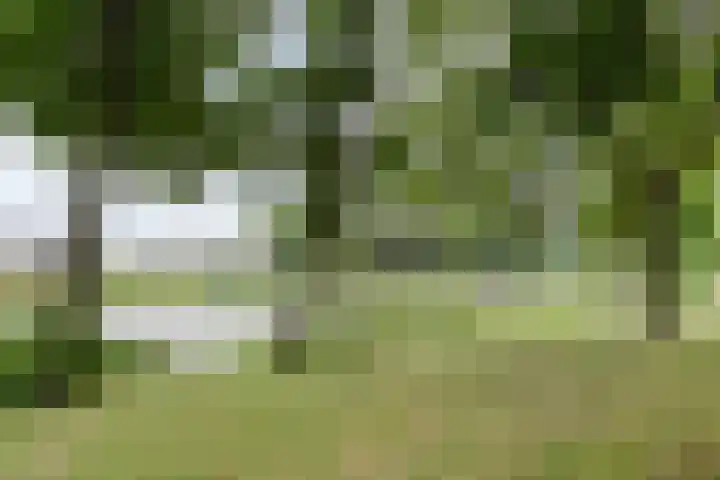 Laan van Nederhoven 20 Zwijndrecht thumbnail 32