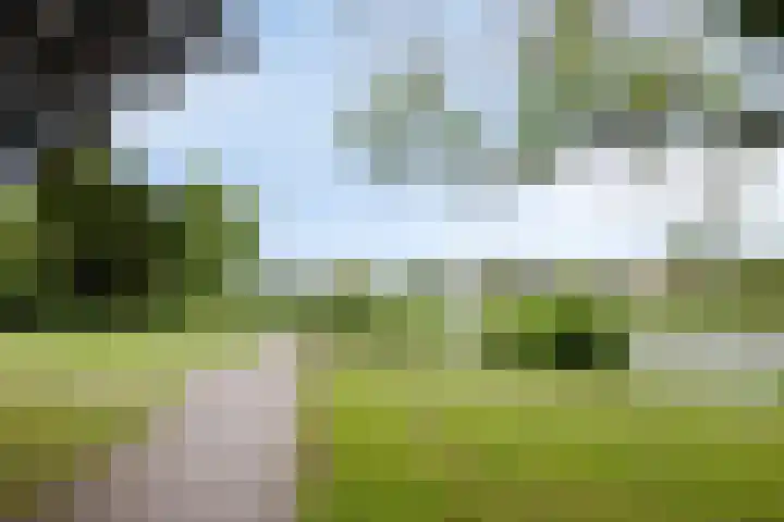 Laan van Nederhoven 20 Zwijndrecht thumbnail 33