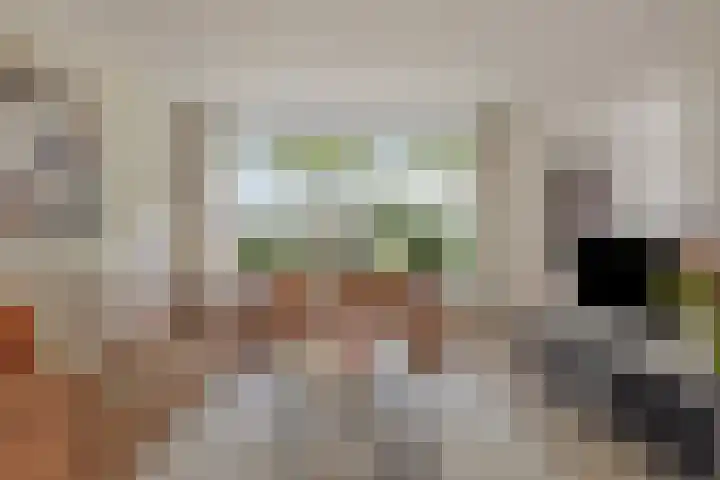 Laan van Nederhoven 20 Zwijndrecht thumbnail 6