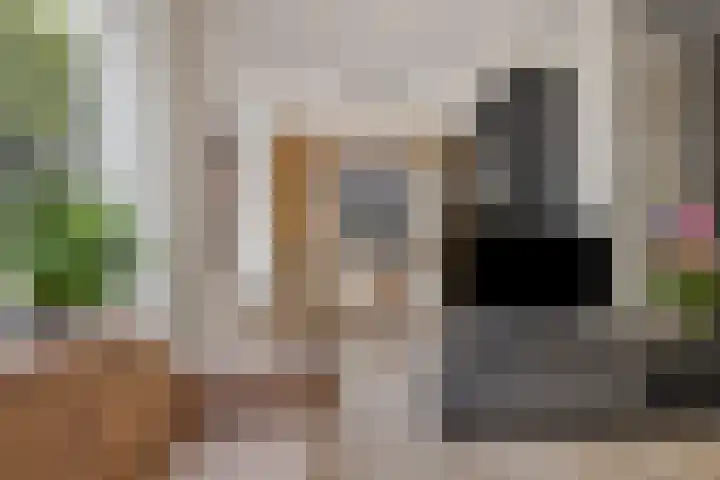 Laan van Nederhoven 20 Zwijndrecht thumbnail 8