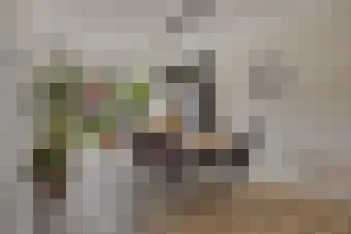 Laan van Nederhoven 20 Zwijndrecht thumbnail 9