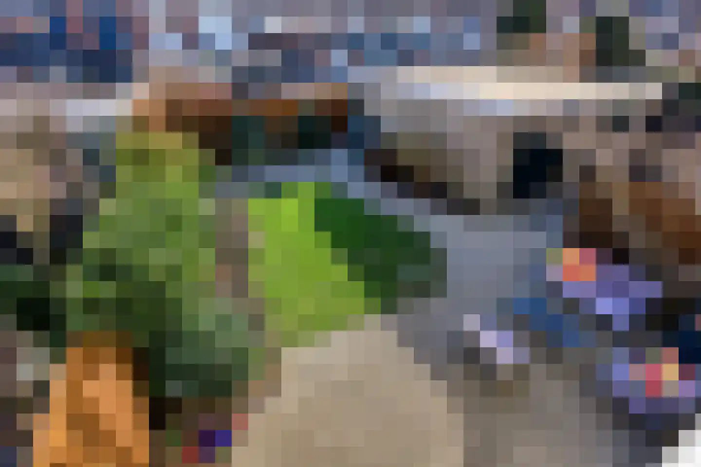 Laan van Nederhoven 28 Zwijndrecht thumbnail 36