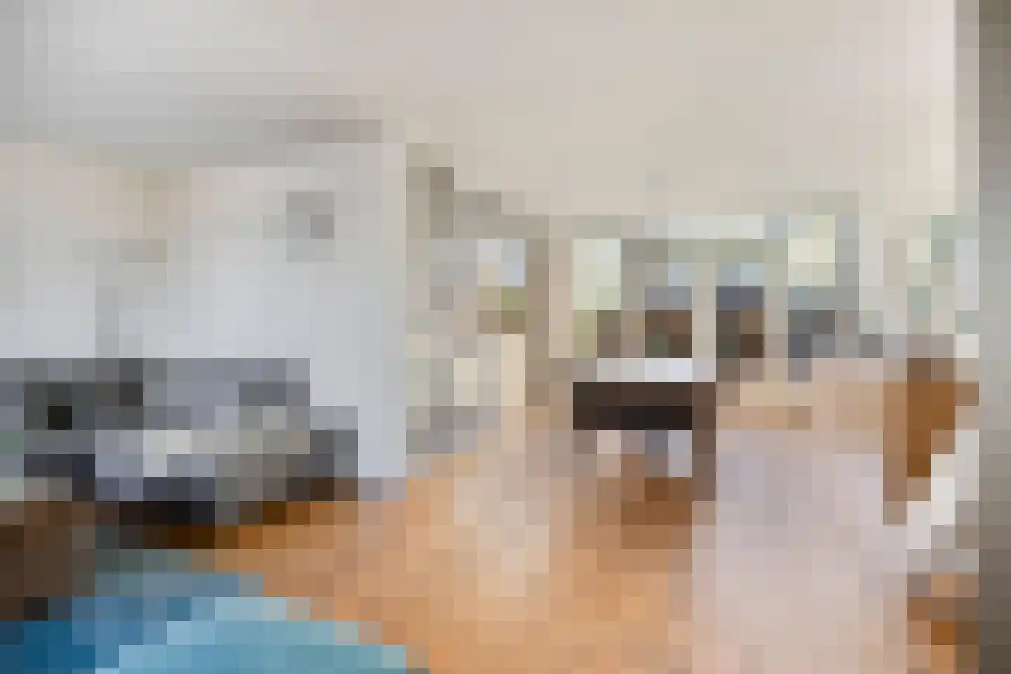Laan van Nederhoven 28 Zwijndrecht thumbnail 5