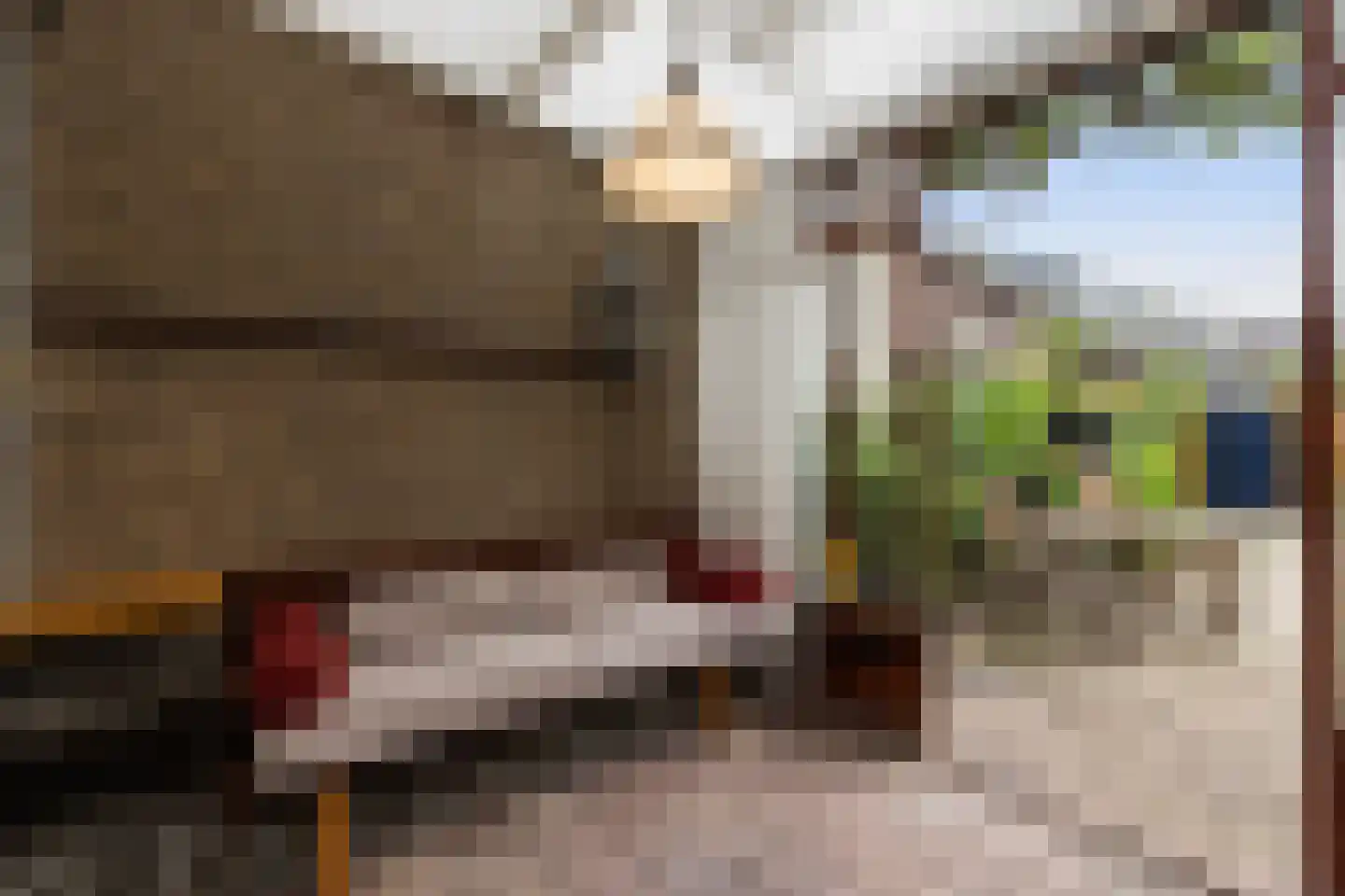 Laan van Nederhoven 70 Zwijndrecht thumbnail 9