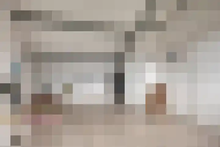 Laan van Nederhoven 92 Zwijndrecht thumbnail 36