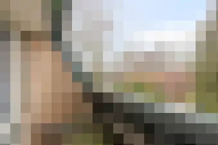 Laan van Nederhoven 92 Zwijndrecht thumbnail 37