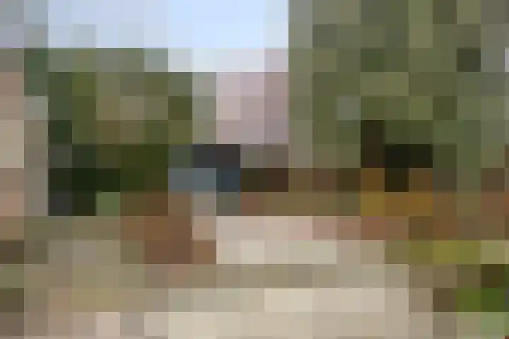 Laan van Nederhoven 92 Zwijndrecht thumbnail 40