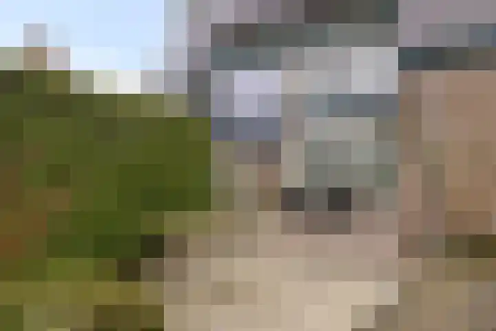 Laan van Nederhoven 92 Zwijndrecht thumbnail 41