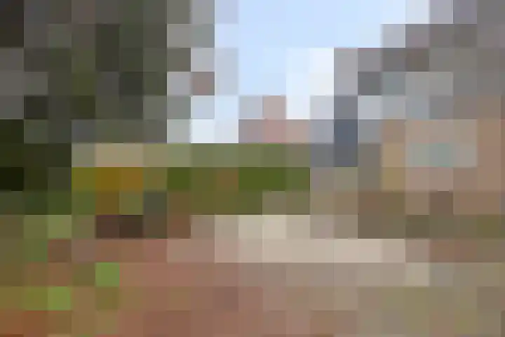 Laan van Nederhoven 92 Zwijndrecht thumbnail 43