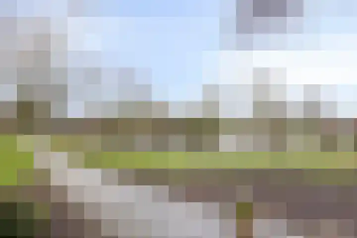 Laan van Nederhoven 92 Zwijndrecht thumbnail 45