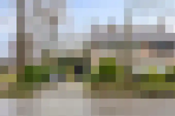 Laan van Nederhoven 92 Zwijndrecht thumbnail 51