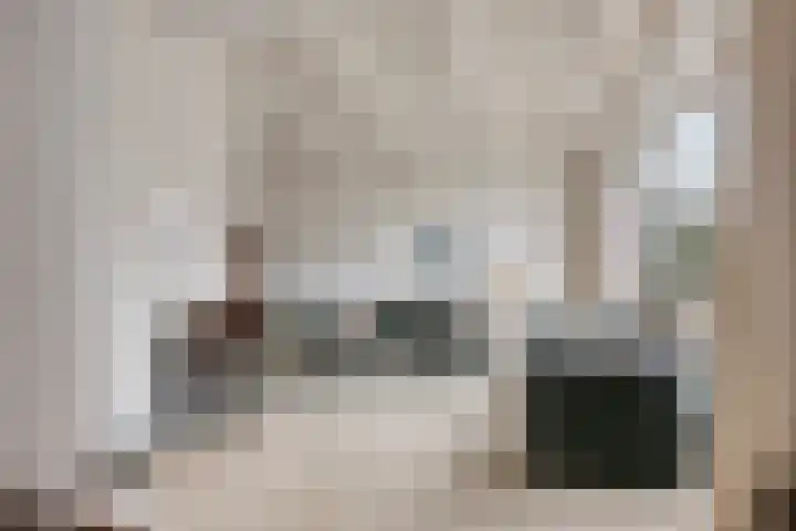 Laan van Nederhoven 92 Zwijndrecht thumbnail 9