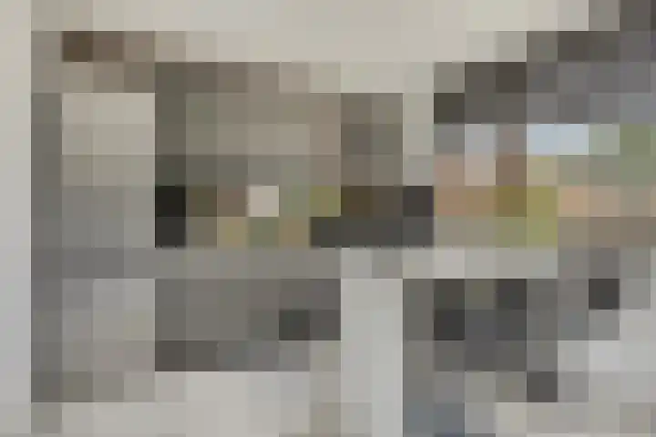 Laan van Nieuw Blankenburg 254 Rozenburg thumbnail 10