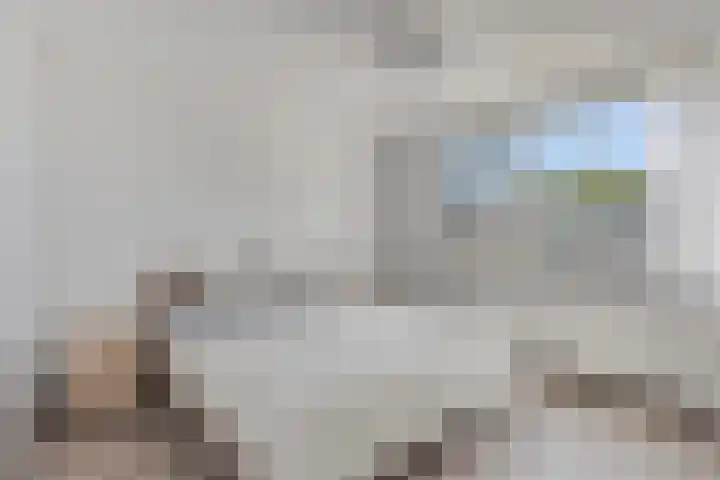 Laan van Nieuw Blankenburg 254 Rozenburg thumbnail 12