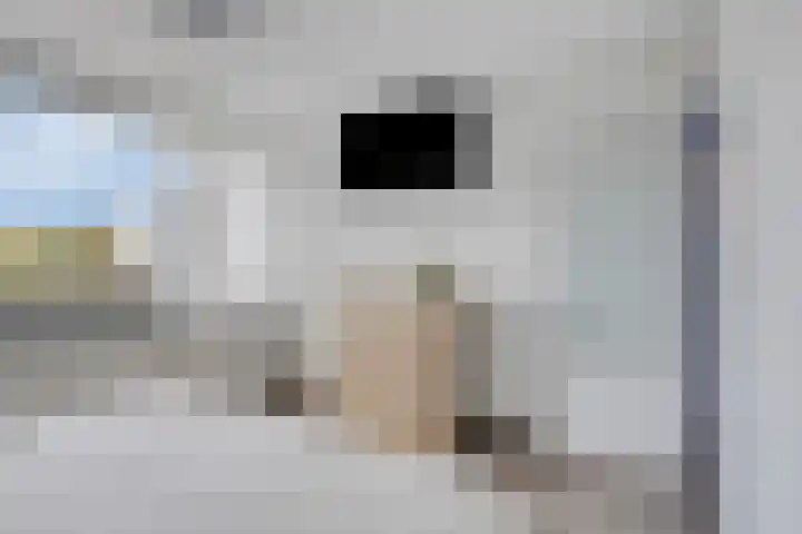 Laan van Nieuw Blankenburg 254 Rozenburg thumbnail 14