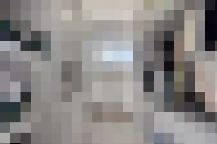 Laan van Nieuw Blankenburg 254 Rozenburg thumbnail 19